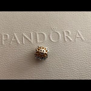 Pandora charm